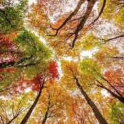 ヒメ日記 2025/10/22 15:01 投稿 ゆうき 鹿児島人妻 楊貴妃