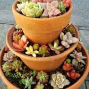 ヒメ日記 2025/11/05 15:01 投稿 ゆうき 鹿児島人妻 楊貴妃