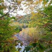 ヒメ日記 2025/10/12 15:39 投稿 なごみ 大人の遊園地 所沢店