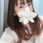 ヒメ日記 2025/01/26 15:15 投稿 なごみ 大人の遊園地 春日部店