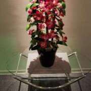 ヒメ日記 2025/05/02 14:59 投稿 める 大人の遊園地 春日部店