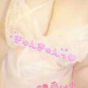 ヒメ日記 2025/04/12 12:18 投稿 まり 石川金沢ちゃんこ