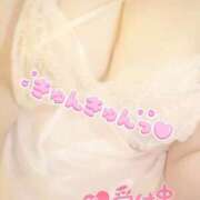 ヒメ日記 2025/04/16 16:25 投稿 まり 石川金沢ちゃんこ