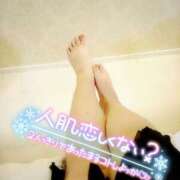 ヒメ日記 2025/04/16 18:09 投稿 まり 石川金沢ちゃんこ