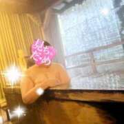 ヒメ日記 2025/04/16 22:25 投稿 まり 石川金沢ちゃんこ