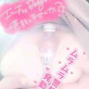 ヒメ日記 2025/04/17 13:05 投稿 まり 石川金沢ちゃんこ