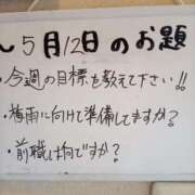 ヒメ日記 2025/05/12 12:25 投稿 まり 石川金沢ちゃんこ