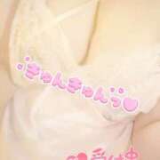 ヒメ日記 2025/07/15 14:12 投稿 まり 石川金沢ちゃんこ