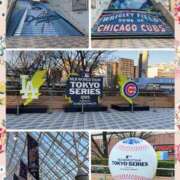 ヒメ日記 2025/03/18 10:43 投稿 ひでみ 松本人妻隊