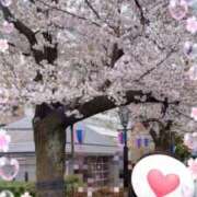 ヒメ日記 2025/04/09 12:55 投稿 ひでみ 松本人妻隊