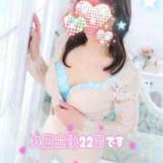 ヒメ日記 2025/11/19 08:13 投稿 ひでみ 松本人妻隊