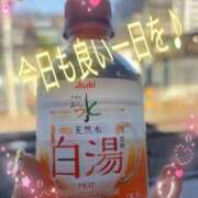 ヒメ日記 2025/12/01 09:48 投稿 ひでみ 松本人妻隊