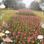 ヒメ日記 2026/03/26 09:25 投稿 ひでみ 松本人妻隊