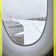 ヒメ日記 2026/04/02 14:39 投稿 ひでみ 松本人妻隊