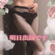 ヒメ日記 2026/04/28 10:45 投稿 ひでみ 松本人妻隊