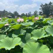 ヒメ日記 2025/07/01 11:02 投稿 八木【やぎ】 丸妻 西船橋店