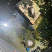 ヒメ日記 2025/07/22 22:04 投稿 八木【やぎ】 丸妻 西船橋店