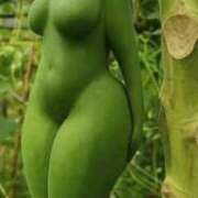 ヒメ日記 2025/07/28 04:11 投稿 八木【やぎ】 丸妻 西船橋店