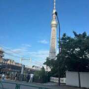 ヒメ日記 2025/08/19 08:07 投稿 八木【やぎ】 丸妻 西船橋店