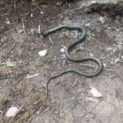 ヒメ日記 2025/10/10 13:40 投稿 八木【やぎ】 丸妻 西船橋店