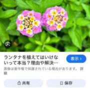 ヒメ日記 2025/11/01 09:35 投稿 八木【やぎ】 丸妻 西船橋店