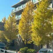 ヒメ日記 2025/11/14 11:02 投稿 八木【やぎ】 丸妻 西船橋店