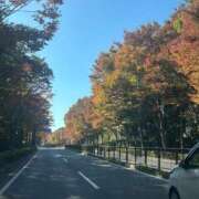 ヒメ日記 2025/11/24 18:12 投稿 八木【やぎ】 丸妻 西船橋店