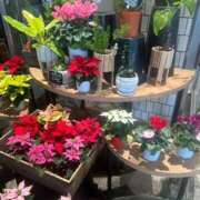 ヒメ日記 2025/11/26 22:03 投稿 八木【やぎ】 丸妻 西船橋店