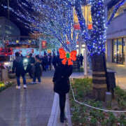 ヒメ日記 2024/12/30 17:49 投稿 ゆりの 奥鉄オクテツ東京店（デリヘル市場）