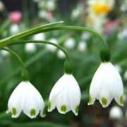 ヒメ日記 2025/01/23 21:07 投稿 ゆりの 奥鉄オクテツ東京店（デリヘル市場）