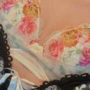 ヒメ日記 2024/12/27 08:04 投稿 りさ エディーズ