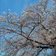 ヒメ日記 2025/04/07 07:06 投稿 りさ エディーズ