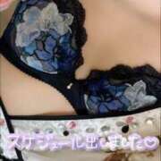 ヒメ日記 2025/10/31 22:06 投稿 りさ エディーズ