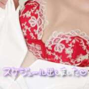 ヒメ日記 2025/12/25 22:06 投稿 りさ エディーズ