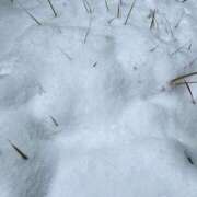 ヒメ日記 2026/01/12 23:56 投稿 りさ エディーズ