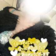 ヒメ日記 2026/02/06 12:56 投稿 りさ エディーズ