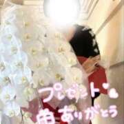 ヒメ日記 2026/02/25 10:36 投稿 りさ エディーズ