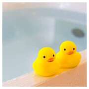 ヒメ日記 2024/12/14 07:30 投稿 深田 熟女待機所 厚木店