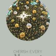 ヒメ日記 2024/12/22 11:35 投稿 深田 熟女待機所 厚木店