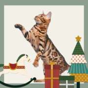 ヒメ日記 2024/12/25 07:45 投稿 深田 熟女待機所 厚木店