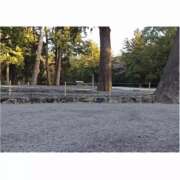 ヒメ日記 2025/01/02 00:01 投稿 深田 熟女待機所 厚木店