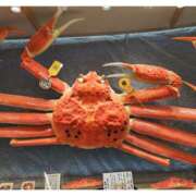 ヒメ日記 2025/01/04 23:20 投稿 深田 熟女待機所 厚木店