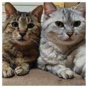 ヒメ日記 2025/01/11 09:30 投稿 深田 熟女待機所 厚木店