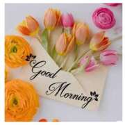 ヒメ日記 2025/01/24 07:31 投稿 深田 熟女待機所 厚木店