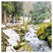 ヒメ日記 2025/03/02 09:03 投稿 深田 熟女待機所 厚木店