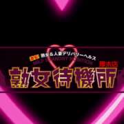 ヒメ日記 2025/03/09 14:00 投稿 深田 熟女待機所 厚木店