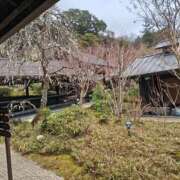 ヒメ日記 2025/03/23 12:30 投稿 深田 熟女待機所 厚木店