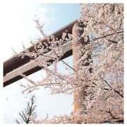 ヒメ日記 2025/03/24 07:40 投稿 深田 熟女待機所 厚木店