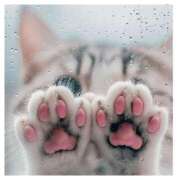 ヒメ日記 2025/03/25 12:37 投稿 深田 熟女待機所 厚木店