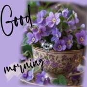 ヒメ日記 2025/04/01 07:40 投稿 深田 熟女待機所 厚木店